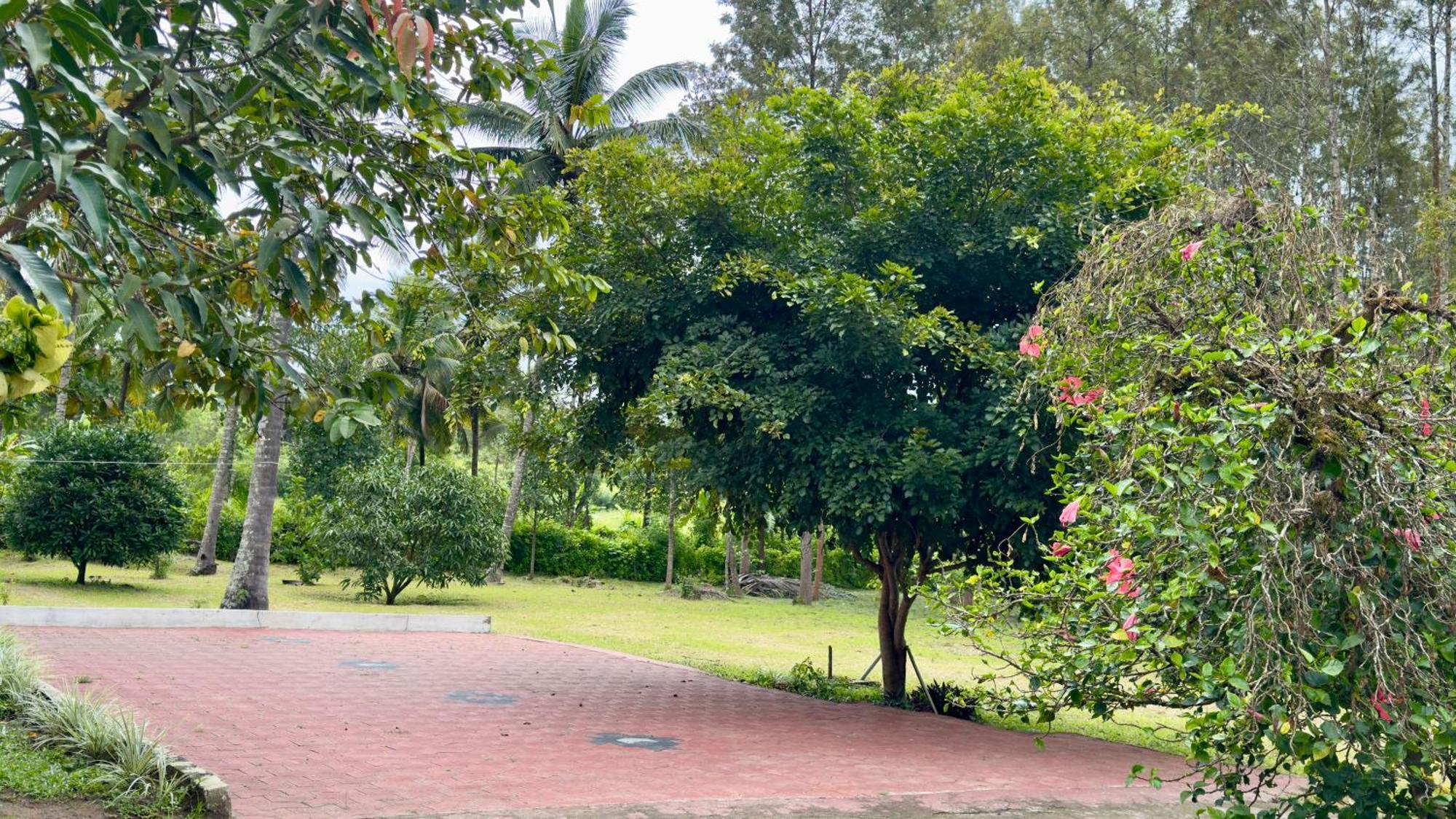 Kushālnagar The Shades Holiday Homes מראה חיצוני תמונה